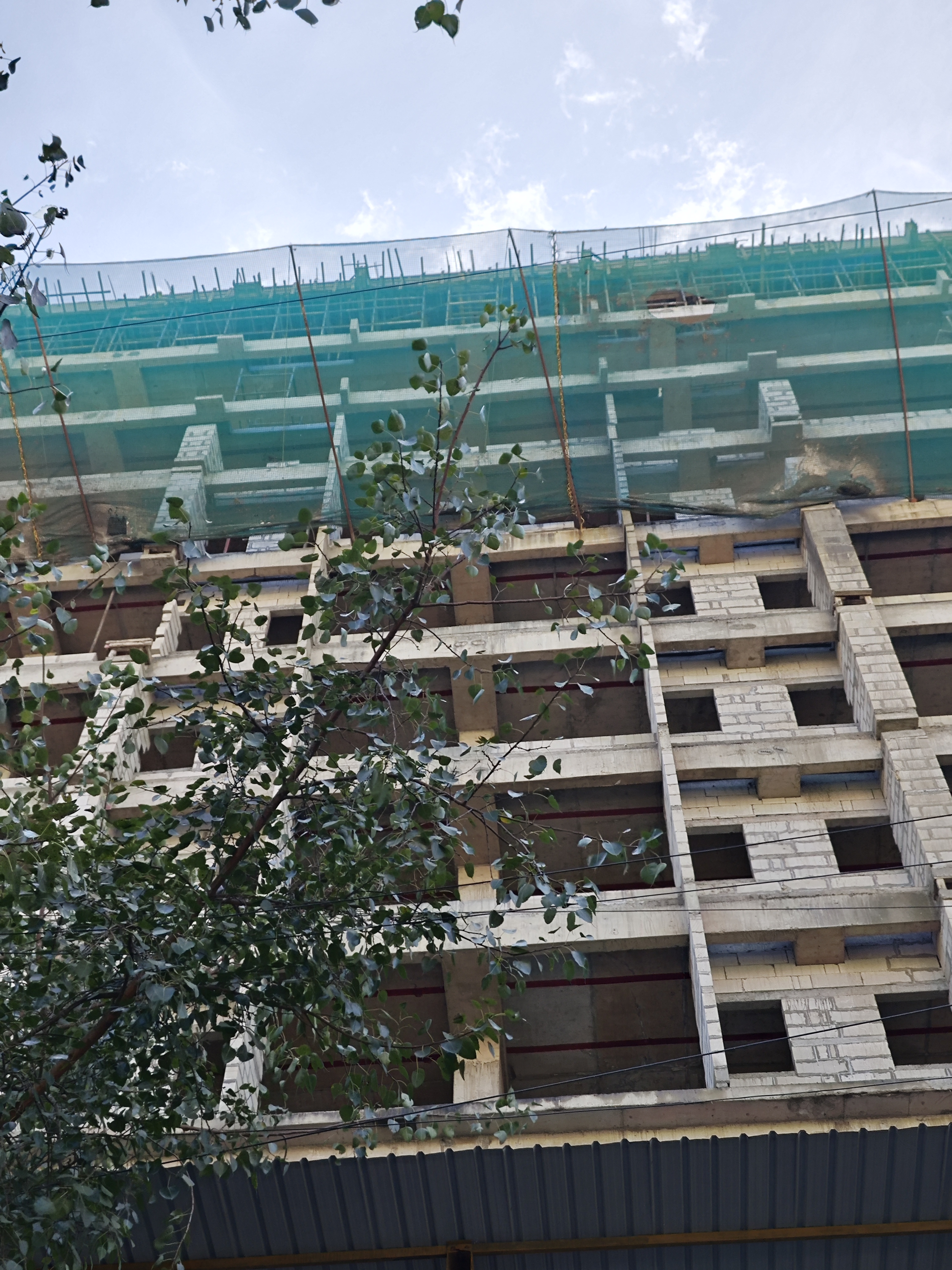 Project Update Nov 4